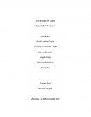 Breve historia de la Empresa y del Producto