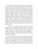 Las instalaciones de la escuela son amplias, es un espacio cerrado con barda