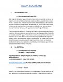 Agua Socosani. Resumen ejecutivo