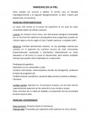 MANCHAS EN LA PIEL - Resumen