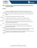 Actividad evaluable Expresión verbal y simbólica de las fuerzas actuantes en un cuerpo en equilibrio
