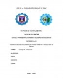 Disposición espacial de la población de Prosopis pallida en el bosque Seco de Ñapique