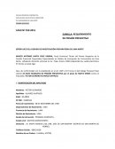 REQUERIMIENTO DE PRISION PREVENTIVA