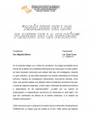 Análisis de los Planes de la Nación