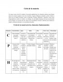 Ciclo de la materia