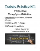 Perspectiva Pedagógico-Didáctica