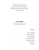 CHOCOBOMBS "No te querrás comer solo uno"