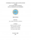 TRABAJO DE INVESTIGACION DE LA HEPATITIS B