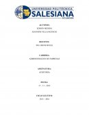 ANALISI FINANCIERO ¿Cuál es la misión de la empresa?