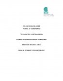 PLANTEL 10 “AEROPUERTO” FERTILIZANTES Y CINETICA QUIMICA