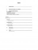 TRABAJO DE MARKETING INTERNACIONAL