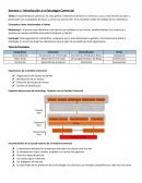 Resumen Administración de Fuerza de Ventas