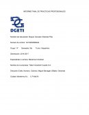 INFORME FINAL DE PRACTICAS PROFESIONALES Taller Industrial Cuautla S.A