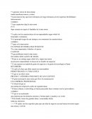 Seminario Lean startup