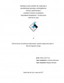 Informe técnico de prácticas profesionales, requisito exigido para optar al título de Ingeniero de gas