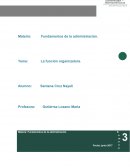 Fundamentos de la administración. Tema: La función organizadora