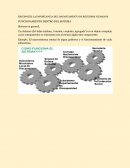 RECONOCES LA IMPORTANCIA DEL DAPARTAMENTO DE RECURSOS HUMANOS