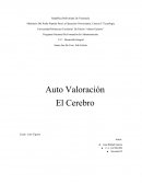 Autovaloracion Desarrollo Integral