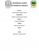 Resumen del capítulo 7 Neoplasias