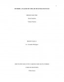 ANALISIS DE MUESTREO DE SUELOS