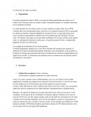 El epitelio pigmentario retinal o EPR es una capa de células pigmentadas que aparece en el exterior de la retina que nutre sus células visuales