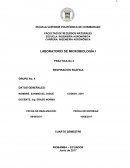 LABORATORIO DE MICROBIOLOGÍA - PRÁCTICA