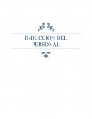 Informe de tecnicas de investigacion induccion del personal