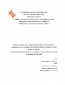 IMPACTO SOCIAL DE LA CRISIS MIGRATORIA EN JOVENES DE LA PARROQUIA SANTA BARBARA MUNICIPIO EZEQUIEL ZAMORA ESTADO BARINAS AÑO 2017