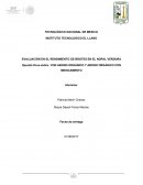 EVALUACIÓN EN EL RENDIMIENTO DE BROTES EN EL NOPAL VERDURA Opuntia ficus-indica CON ABONO ORGÁNICO Y ABONO ORGÁNICO CON MEDICAMENTO