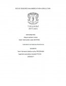 Red de sensores para la agricultura