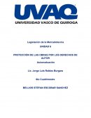 PROTECCIÓN DE LAS OBRAS POR LOS DERECHOS DE AUTOR