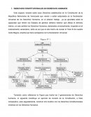 Los Derechos humanos constitucionales y los Instrumentos internacionales