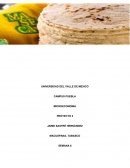 Como actividad principal es la venta y distribución de tortilla de harina por kilogramo