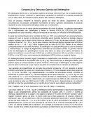 Composición y Estructura Química del Dietilenglicol