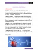 EXAMEN FISICO CARDIOVASCULAR