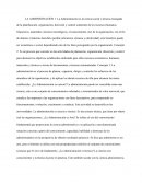 La Administración es la ciencia social y técnica encargada de la planificación