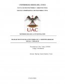 TRABAJO DE INVESTIGACION FORMATIVA Y RESPONSABILIDAD SOCIAL