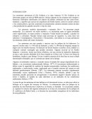 Las anemonas pertenecen al filo Cnidaria a la clase Antozoa