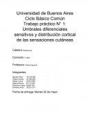 Unbrales diferenciales sensitivos y distribucion cortical de las sensaciones cutáneas