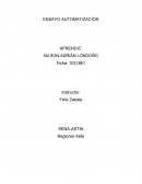 ENSAYO - AUTOMATIZACIÓN
