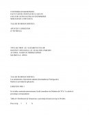 CICLO DE LICENCIATURA EN ENFERMERÍA