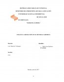 ENSAYO: LA REDACCIÓN EN EL MUNDO ACADÉMICO