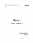 Salud Ocupacional y Psicología Laboral