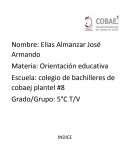 Mi historia de vida - Resumen