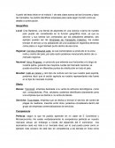 Empresas Según Funcion