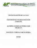 Negociaciones. La Asociación Internacional de Cruceros (CLIA