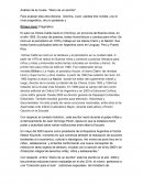 Analisis del libro "Diario de un escritor"