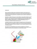 Flujo de Efectivo y Planeación Financiera