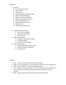 TRABAJO INFORMATICA NUMERO