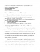 ¿Cuáles fueron las estrategias que se implementaron para el cambio de imagen de Avon?